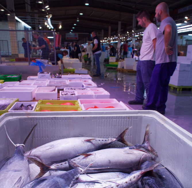 Poissons et crustacés